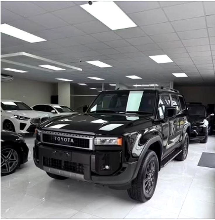 Premium imported vehicles displayed in the dealership showroom